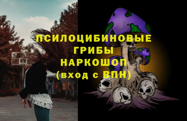 apvp Баксан