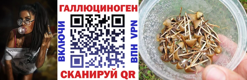 Псилоцибиновые грибы Magic Shrooms  Кукмор 
